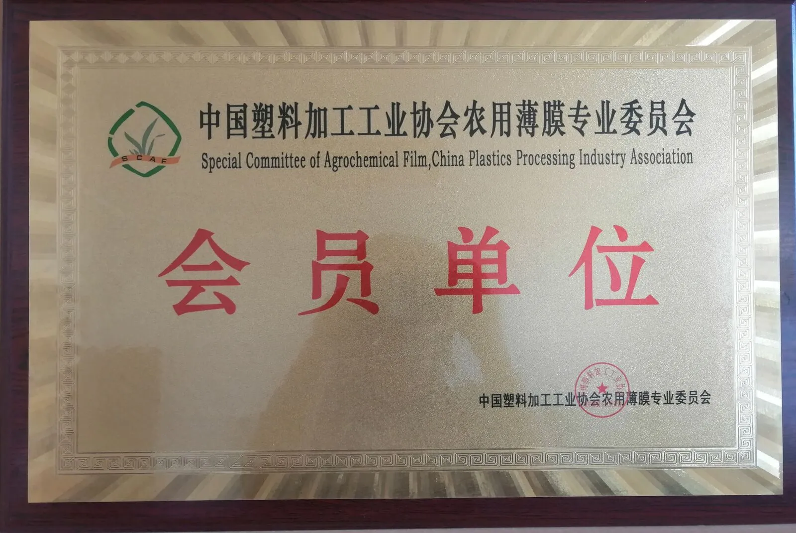 1、荣誉证书 (4)_嗨格式压缩副本_结果